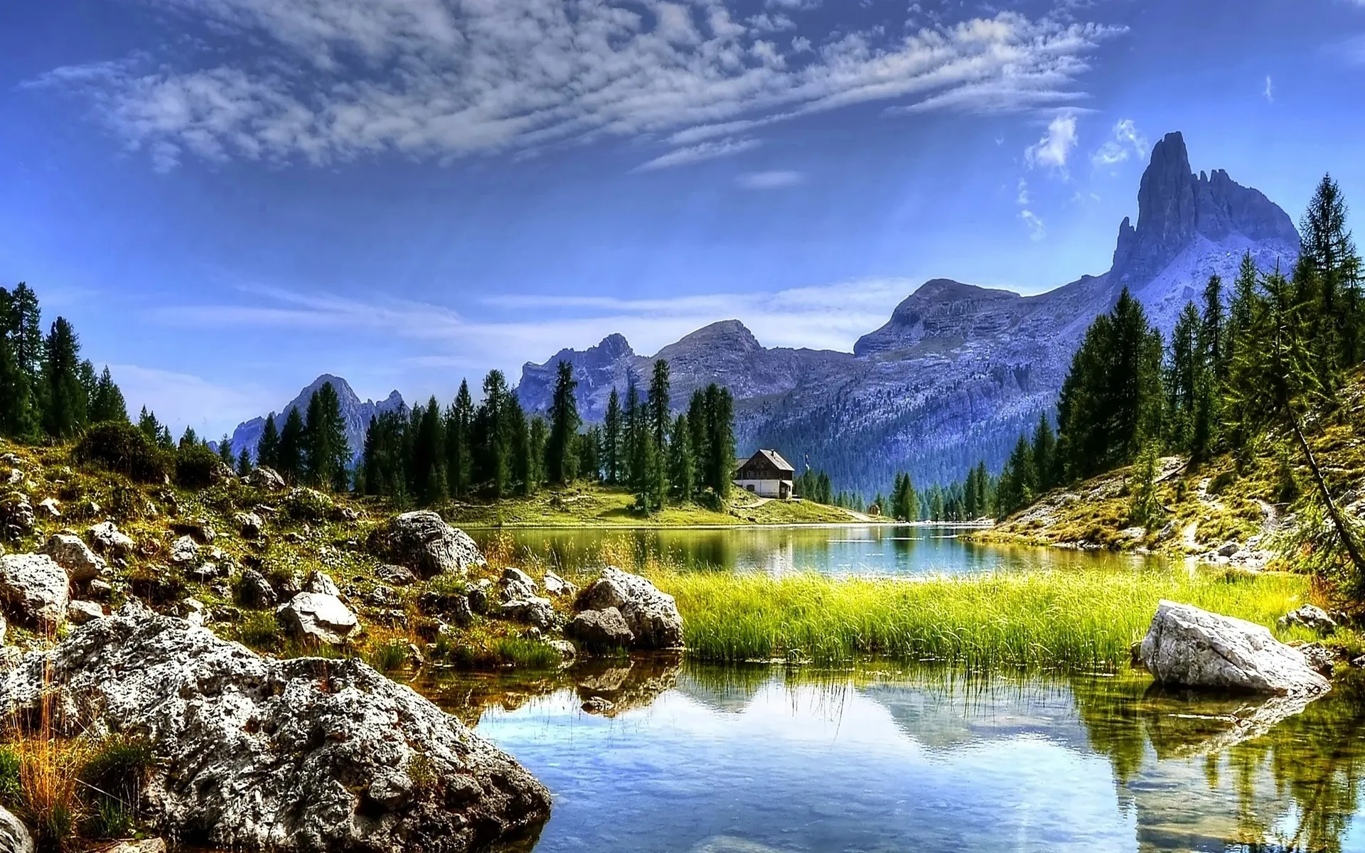Xi calls for strengthening cooperation on wetlands conservation